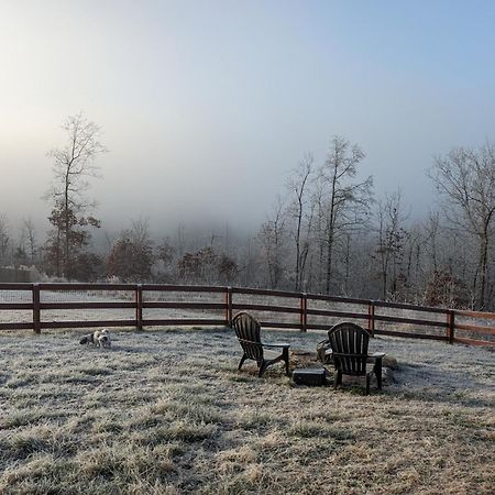 Great Little Guest Suite With Private Entry & Deck! Pet Friendly & 30 Mins To Nashville! Ashland City 外观 照片